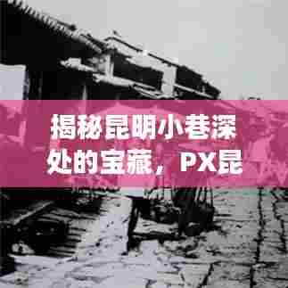 昆明小巷宝藏揭秘,PX项目周边独特风味小店探索