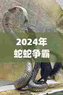 2024蛇蛇争霸新篇章,共舞自然美景的下载之旅
