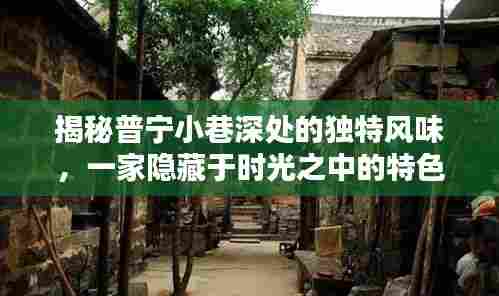 普宁小巷深处的时光特色小店,揭秘隐藏的风味之旅