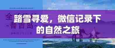 文贵天成 第4页