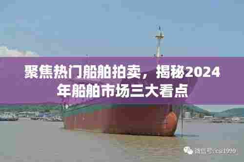 揭秘2024年船舶市场三大看点,热门船舶拍卖深度解析