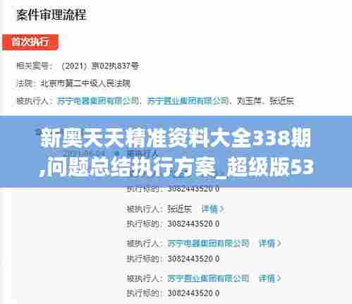 新奥天天精准资料大全338期,问题总结执行方案_超级版53.843-9