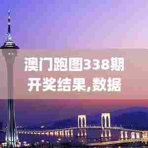 澳门跑图338期开奖结果,数据驱动方案实施_尊贵版20.949-1