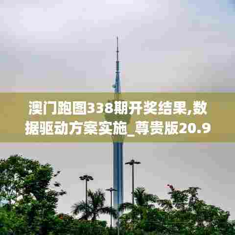 澳门跑图338期开奖结果,数据驱动方案实施_尊贵版20.949-1