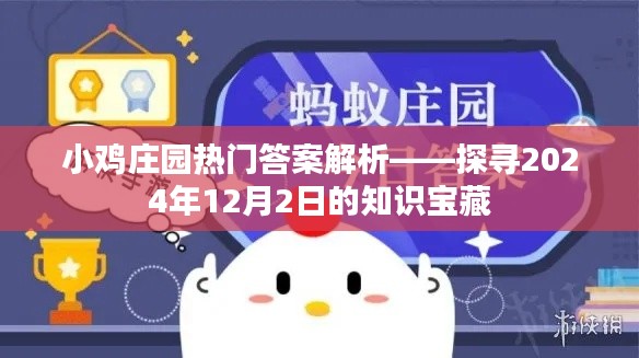 小鸡庄园热门答案解析,探寻知识宝藏,揭秘2024年12月2日答案