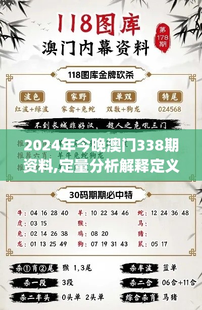 2024年今晚澳门338期资料,定量分析解释定义_Premium46.163-1