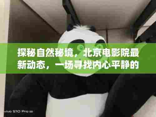 探秘自然秘境与北京电影院最新动态,心灵平静之旅的启程