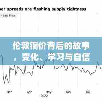 伦敦铜价背后的故事,变化、学习与自信的力量探索