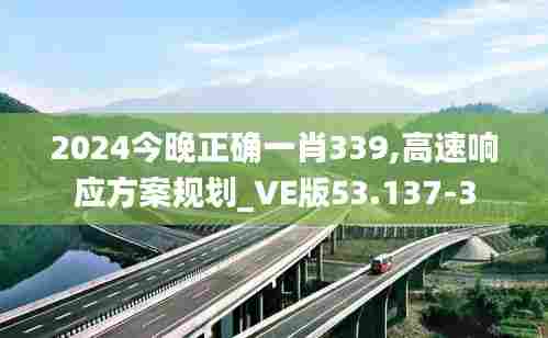 2024今晚正确一肖339,高速响应方案规划_VE版53.137-3