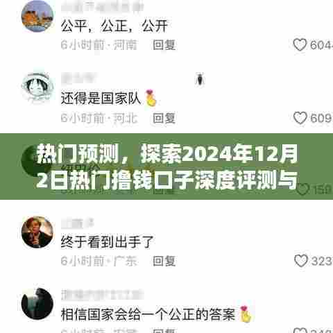 热门预测揭秘，深度评测与介绍2024年热门撸钱口子新动向