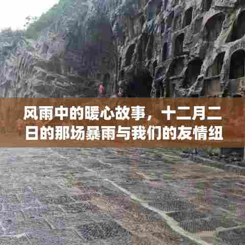风雨中的暖心故事,十二月二日暴雨见证友情纽带