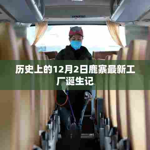 伤弓之鸟 第4页