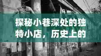 探秘小巷深处的独特小店，揭秘十二月二日的背后故事与男主受虐之旅