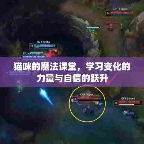 猫咪魔法课堂，掌握力量变化与自信跃升之道