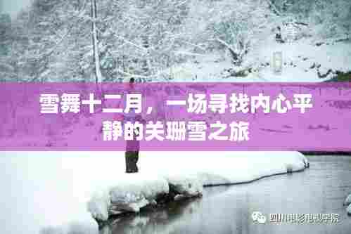关珊雪之旅,十二月的雪舞与内心平静的追寻