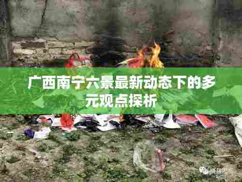 广西南宁六景最新动态下的多元观点深度解读