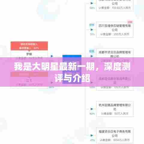 我是大明星最新一期深度测评与介绍全解析