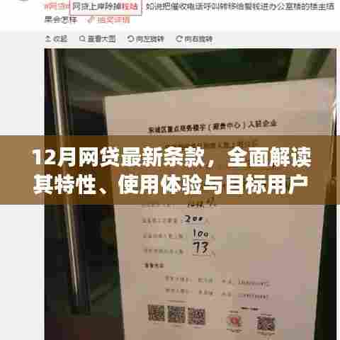 全面解读,最新网贷条款特性、用户体验与目标用户群体深度分析
