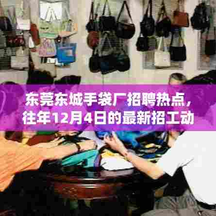 东莞东城手袋厂招聘热点,最新招工动态揭秘(往年12月4日)