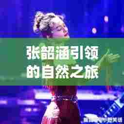 张韶涵引领的自然之旅,探寻美景与心境的奇遇之旅(2024年12月4日)