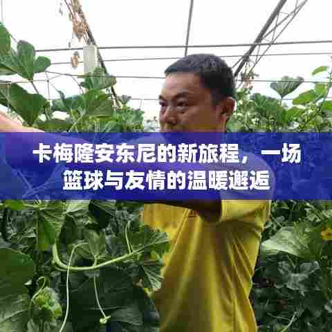 卡梅隆安东尼的新旅程,篮球与友情的温暖交汇