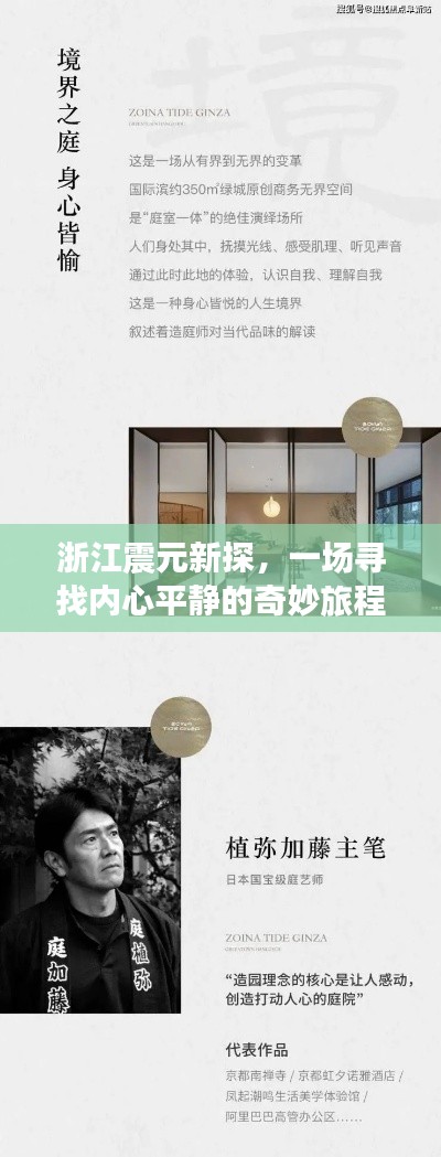 浙江震元新探,探寻内心平静的奇妙旅程