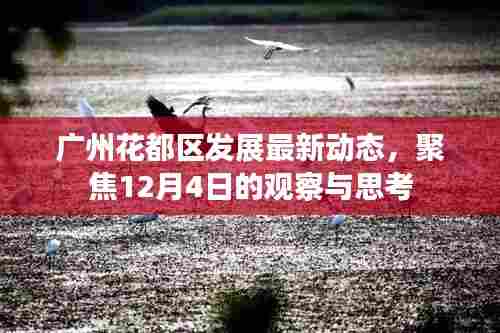 广州花都区发展最新动态观察,聚焦12月4日的进展与思考
