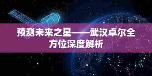 武汉卓尔全方位深度解析，预测未来之星崛起之路