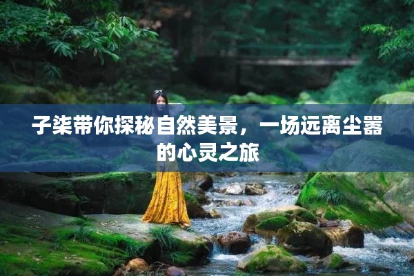 子柒带你远离尘嚣,探寻自然美景的心灵之旅