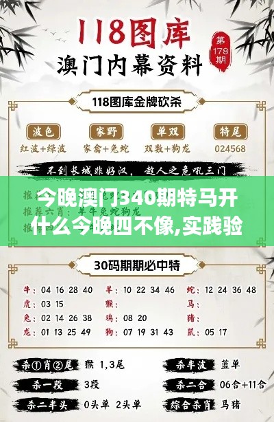 今晚澳门340期特马开什么今晚四不像,实践验证解释定义_限定版47.606-8