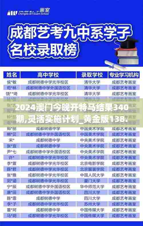 2024澳门今晚开特马结果340期,灵活实施计划_黄金版138.638-1