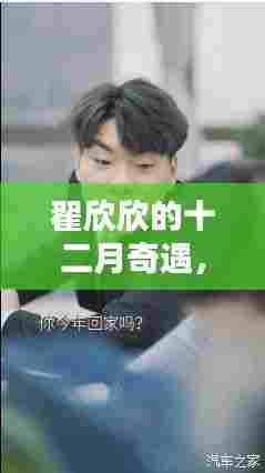 翟欣欣的十二月,友情、温馨与爱的力量之旅