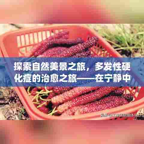 自然探索与心灵治愈,多发性硬化症患者的平和与力量之旅