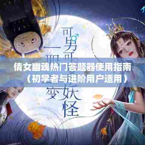 倩女幽魂答题器使用指南,初学者与进阶用户必备攻略