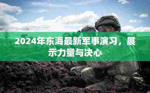 2024年东海军事演习,力量与决心的展示