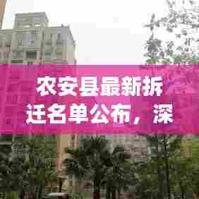 尊道贵德 第3页