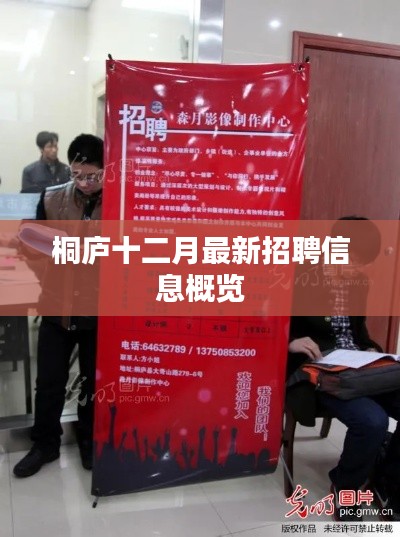 桐庐十二月招聘速递，最新岗位信息概览