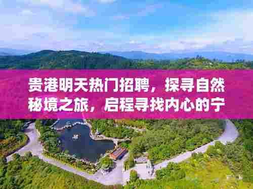 贵港明日热门招聘与探寻自然秘境之旅,宁静港湾启程招募启事