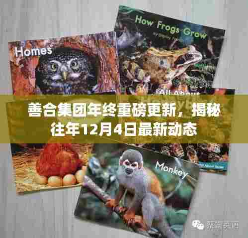 善合集团年终重磅更新揭秘，历年12月4日最新动态回顾