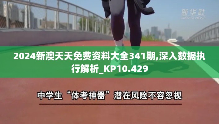 2024新澳天天免费资料大全341期,深入数据执行解析_KP10.429