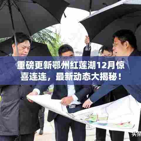 鄂州红莲湖12月惊喜揭秘,最新动态重磅更新!