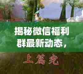 揭秘微信福利群最新动态,预测未来二维码福利揭秘(独家爆料)