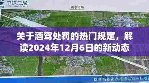 兽聚鸟散 第3页