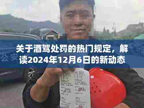 解读酒驾处罚新动态,2024年酒驾处罚规定详解,新动态下的酒驾处罚趋势分析