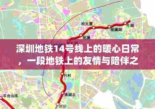 深圳地铁14号线,暖心日常与友情陪伴之旅