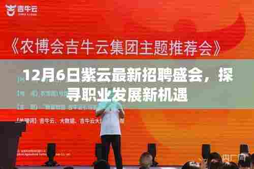 紫云最新招聘盛会,探寻职业发展新起点