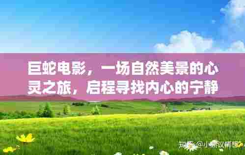 巨蛇电影,自然之旅的心灵觉醒,探寻内心的宁静与平和