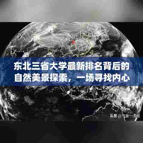 既往不咎 第3页