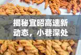 栖鸟于泉 第3页