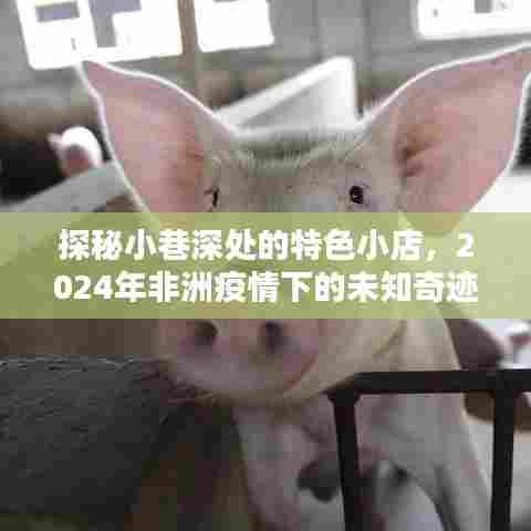 朝乾夕惕 第4页